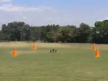 Operación oficial RPAS sector La Viga - Pance 2019-08-08