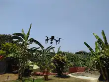 Operación oficial RPAS sector Los Limones - La Castilla 2019-08-30
