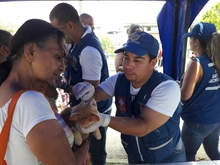 En el Día Mundial contra la Rabia, Administración Municipal realizará jornada de salud animal