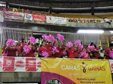 Así se celebró el Reinado Departamental de la Adulta Mayor en Cali