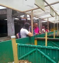Alcaldía de Cali brinda MÁS alternativas de aprovechamiento de los residuos generados por las plazas de mercado