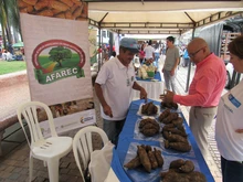 Gran acogida tuvo la feria de emprendimiento y empleabilidad de Semana de la Inclusión y la Reconciliación en Cali