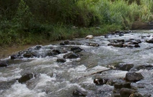 Cañaveralejo