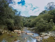 Río Pance