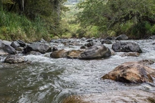 Río Cali