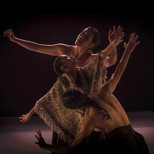 Bienal Danza