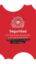 Seguridad movil
