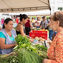 Mercados Campesinos