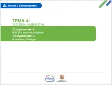 tema4