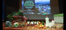 Más de 2 mil millones pesos invirtió gobierno Armitage en el programa de Pagos por Servicios Ambientales
