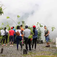 Administración Armitage ha recuperado más del 80 % de los cerros tutelares de Cali 