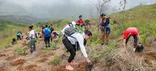 Administración Armitage ha recuperado más del 80 % de los cerros tutelares de Cali 