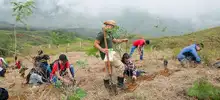 Administración Armitage ha recuperado más del 80 % de los cerros tutelares de Cali 