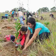 Administración Armitage ha recuperado más del 80 % de los cerros tutelares de Cali 
