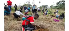 Administración Armitage ha recuperado más del 80 % de los cerros tutelares de Cali 