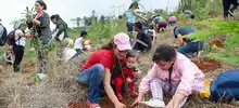 Administración Armitage ha recuperado más del 80 % de los cerros tutelares de Cali 