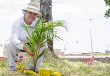 Conozca porqué durante esta semana las Mesas de Cultura Ciudadana de Cali brillan con luz propia 