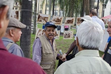 Conozca porqué durante esta semana las Mesas de Cultura Ciudadana de Cali brillan con luz propia 
