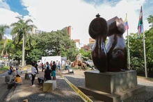 Problemas fitosanitarios y debilidad del terreno por lluvias generaron caída de ceiba: Dagma