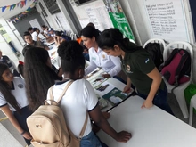 Brigada I.E. Liceo Departamental