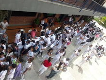 Brigada I.E. Celmira Bueno