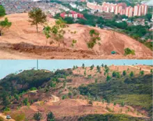 Cañaveralejo