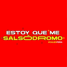 Estoy que me salsódromo