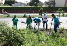 Con jornadas de retribución social, Gestores de Paz embellecen a mi Cali Bonita