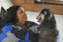Jornada de adopción para los peluditos del área de renovación urbana