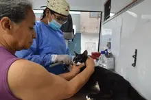 Jornada de adopción para los peluditos del área de renovación urbana