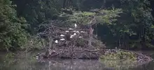Nuestra riqueza natural también hace parte de la Feria de Cali