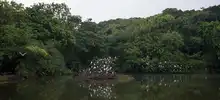 Nuestra riqueza natural también hace parte de la Feria de Cali