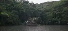 Nuestra riqueza natural también hace parte de la Feria de Cali