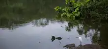 Nuestra riqueza natural también hace parte de la Feria de Cali