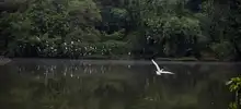 Nuestra riqueza natural también hace parte de la Feria de Cali
