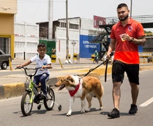 El domingo 2 de febrero inicia la ciclovía en Cali