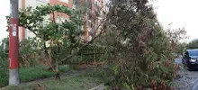 Gestión del Riesgo, Seguridad y Bomberos atendieron emergencias por caída de valla en el sur de Cali