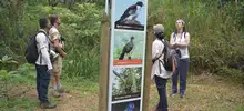 Alista tus binóculos y la cámara fotográfica para el censo de aves acuáticas