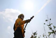 Cali, ciudad líder en tecnología para detectar y atender incendios forestales