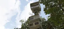 Cali, a la espera de la notificación oficial del futuro de las fotomultas 