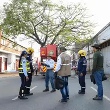 Extraen 4.800 orugas de ceibas del barrio San Nicolás