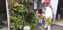 Habitantes de Marroquín II tuvieron jornada de prevención contra el dengue