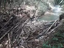 Destaponan empalizada en el río Lili