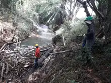 Destaponan empalizada en el río Lili