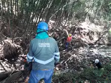 Destaponan empalizada en el río Lili