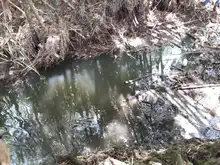 Destaponan empalizada en el río Lili