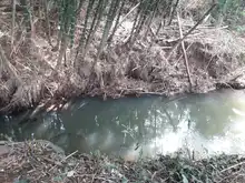Destaponan empalizada en el río Lili