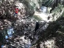 Destaponan empalizada en el río Lili