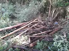 Destaponan empalizada en el río Lili