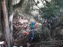 Destaponan empalizada en el río Lili